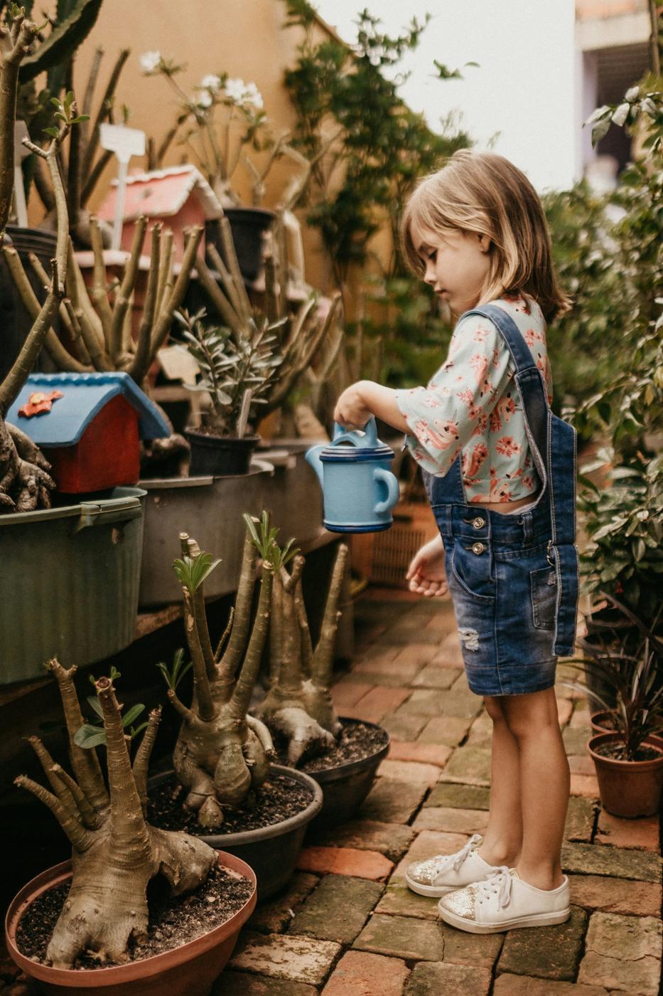 A girl waters plants in a school garden
